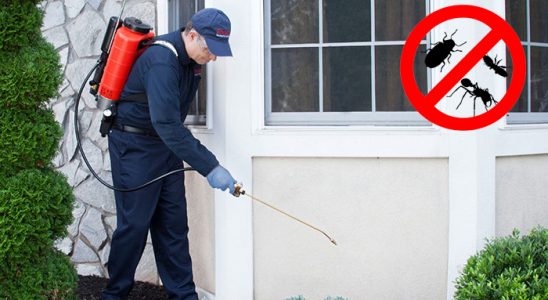 Başçiftlik Gümüşkurt İlaçlama böcek ilaçlama ve haşere kontrolü — ilaclama-tr.com